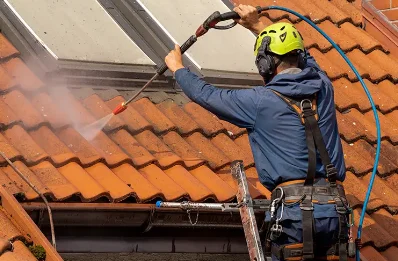 Démoussage et hydrofuge de toiture à Salle